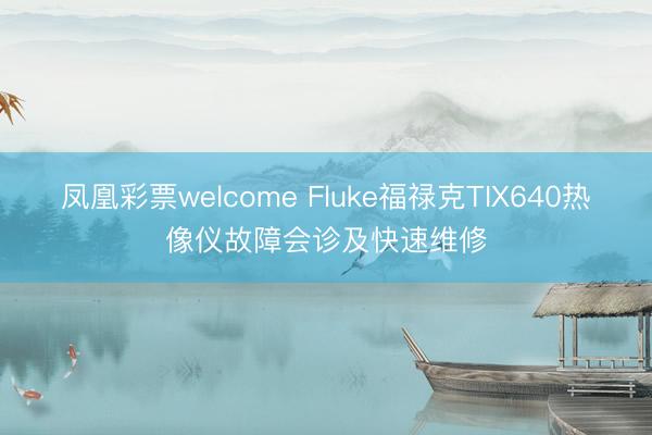 凤凰彩票welcome Fluke福禄克TIX640热像仪故障会诊及快速维修