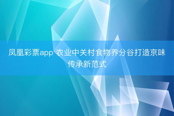 凤凰彩票app 农业中关村食物养分谷打造京味传承新范式