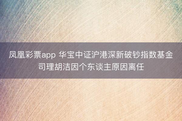 凤凰彩票app 华宝中证沪港深新破钞指数基金司理胡洁因个东谈主原因离任