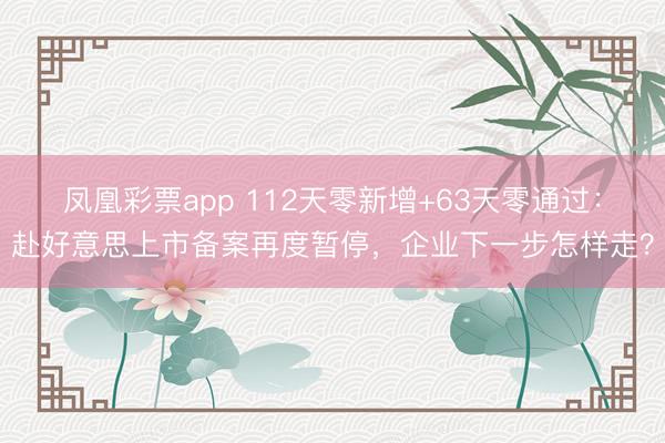 凤凰彩票app 112天零新增+63天零通过：赴好意思上市备案再度暂停，企业下一步怎样走？