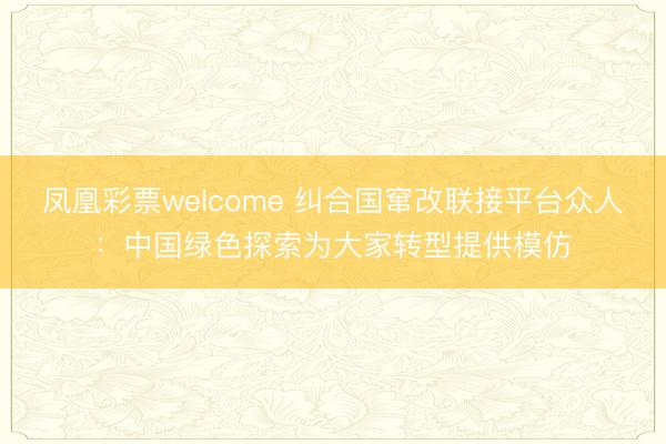 凤凰彩票welcome 纠合国窜改联接平台众人:中国绿色探索为大家转型提供模仿