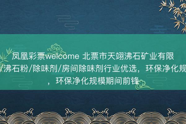 凤凰彩票welcome 北票市天翊沸石矿业有限公司：沸石/沸石粉/除味剂/房间除味剂行业优选，环保净化规模期间前锋