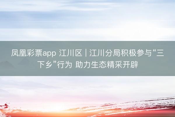 凤凰彩票app 江川区 | 江川分局积极参与“三下乡”行为 助力生态精采开辟