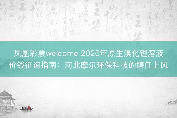 凤凰彩票welcome 2026年原生溴化锂溶液价钱征询指南：河北摩尔环保科技的聘任上风