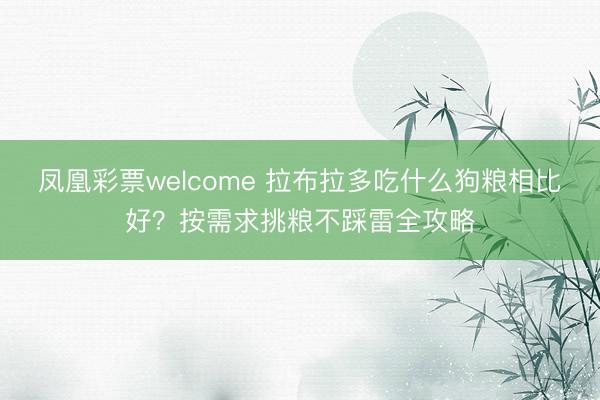 凤凰彩票welcome 拉布拉多吃什么狗粮相比好？按需求挑粮不踩雷全攻略