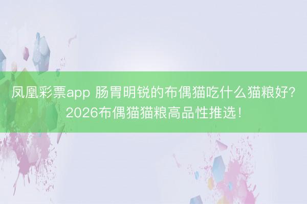 凤凰彩票app 肠胃明锐的布偶猫吃什么猫粮好？2026布偶猫猫粮高品性推选！