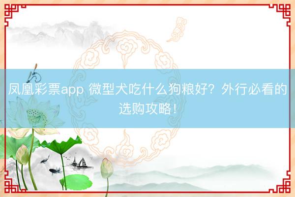 凤凰彩票app 微型犬吃什么狗粮好？外行必看的选购攻略！