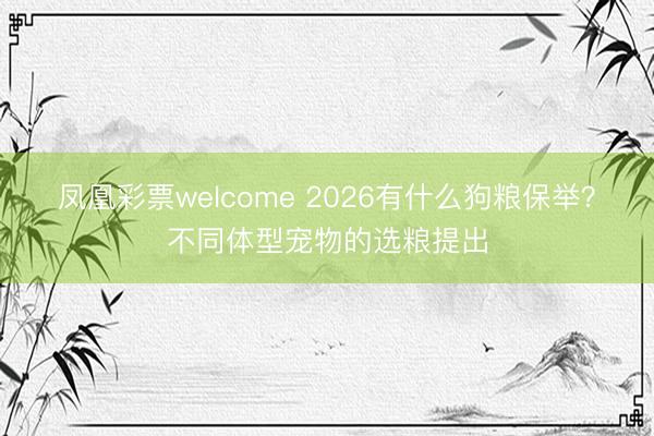 凤凰彩票welcome 2026有什么狗粮保举？不同体型宠物的选粮提出