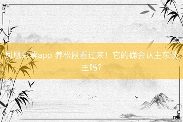 凤凰彩票app 养松鼠看过来！它的确会认主东谈主吗？