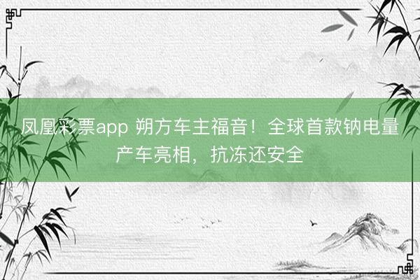 凤凰彩票app 朔方车主福音！全球首款钠电量产车亮相，抗冻还安全