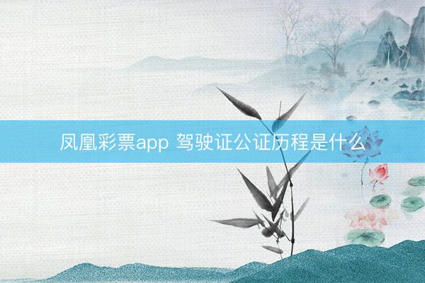 凤凰彩票app 驾驶证公证历程是什么