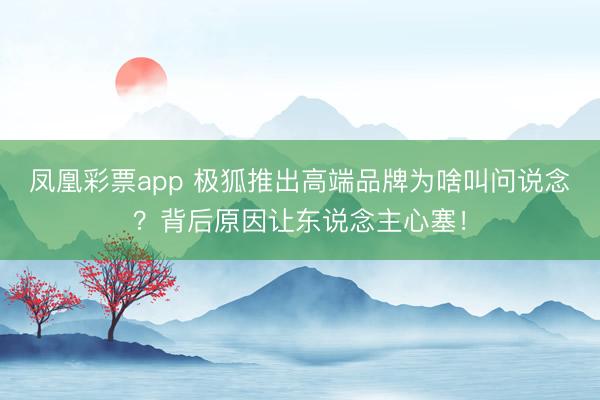 凤凰彩票app 极狐推出高端品牌为啥叫问说念？背后原因让东说念主心塞！