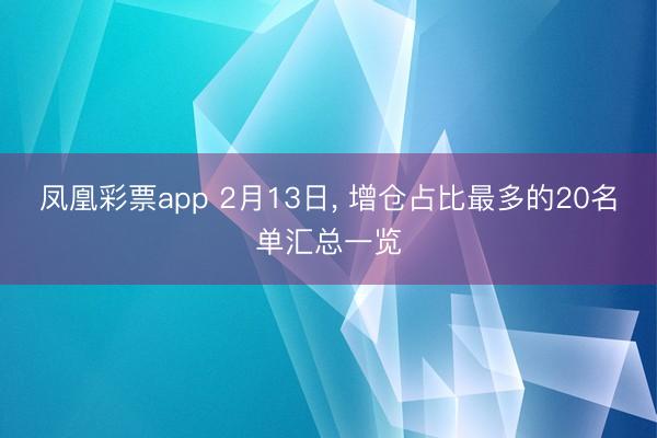 凤凰彩票app 2月13日, 增仓占比最多的20名单汇总一览