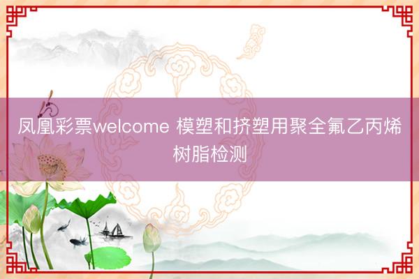 凤凰彩票welcome 模塑和挤塑用聚全氟乙丙烯树脂检测