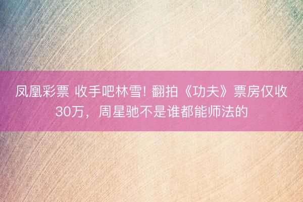 凤凰彩票 收手吧林雪! 翻拍《功夫》票房仅收30万，周星驰不是谁都能师法的