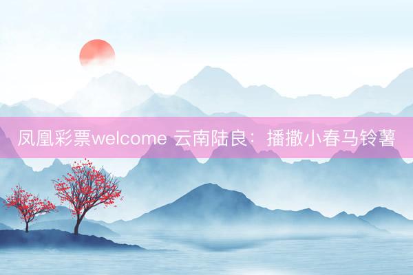 凤凰彩票welcome 云南陆良：播撒小春马铃薯