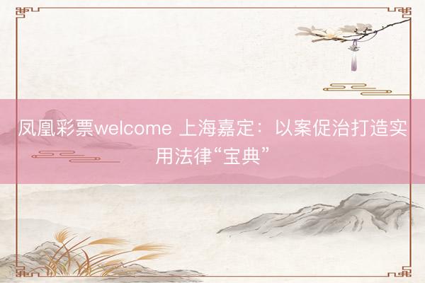 凤凰彩票welcome 上海嘉定：以案促治打造实用法律“宝典”