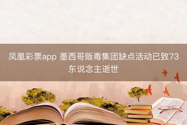凤凰彩票app 墨西哥贩毒集团缺点活动已致73东说念主逝世