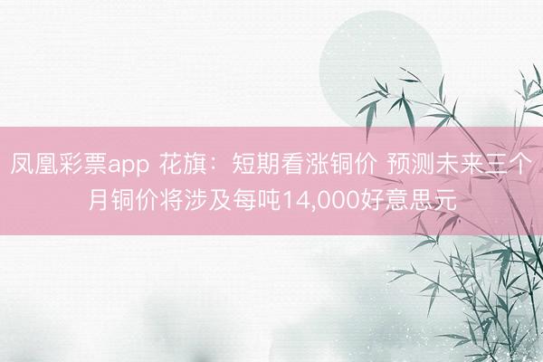 凤凰彩票app 花旗：短期看涨铜价 预测未来三个月铜价将涉及每吨14,000好意思元
