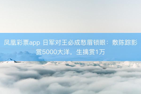 凤凰彩票app 日军对王必成愁眉锁眼：敷陈踪影赏5000大洋，生擒赏1万