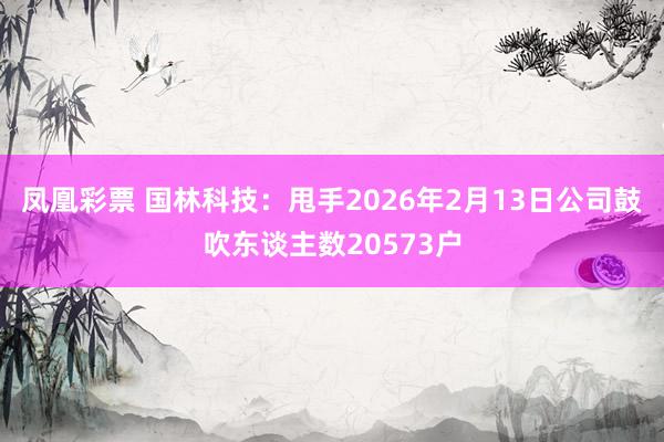 凤凰彩票 国林科技：甩手2026年2月13日公司鼓吹东谈主数20573户