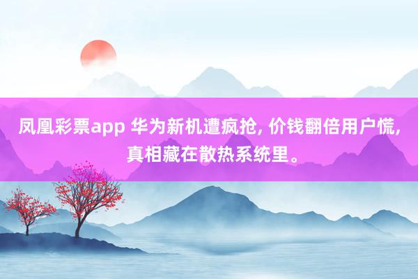 凤凰彩票app 华为新机遭疯抢, 价钱翻倍用户慌, 真相藏在散热系统里。