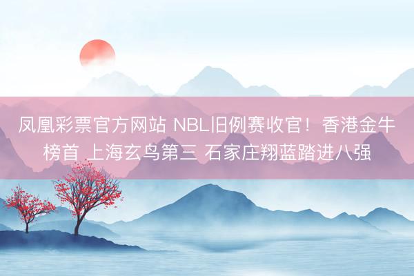 凤凰彩票官方网站 NBL旧例赛收官！香港金牛榜首 上海玄鸟第三 石家庄翔蓝踏进八强