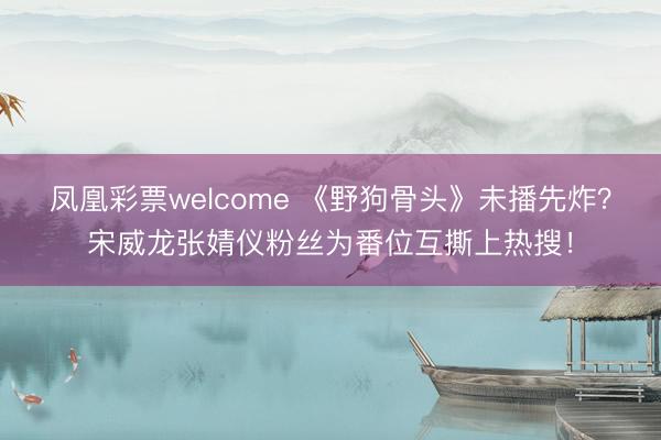 凤凰彩票welcome 《野狗骨头》未播先炸？宋威龙张婧仪粉丝为番位互撕上热搜！