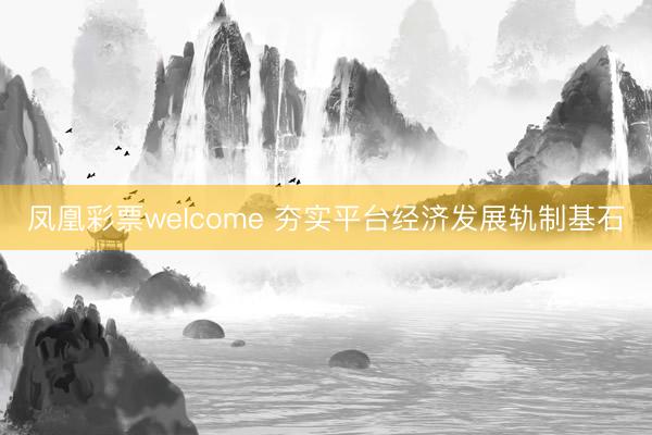 凤凰彩票welcome 夯实平台经济发展轨制基石