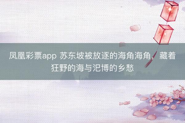 凤凰彩票app 苏东坡被放逐的海角海角，藏着狂野的海与汜博的乡愁