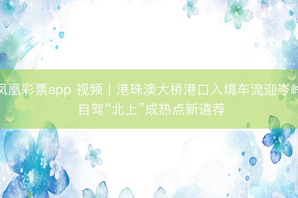 凤凰彩票app 视频｜港珠澳大桥港口入境车流迎岑岭 自驾“北上”成热点新遴荐