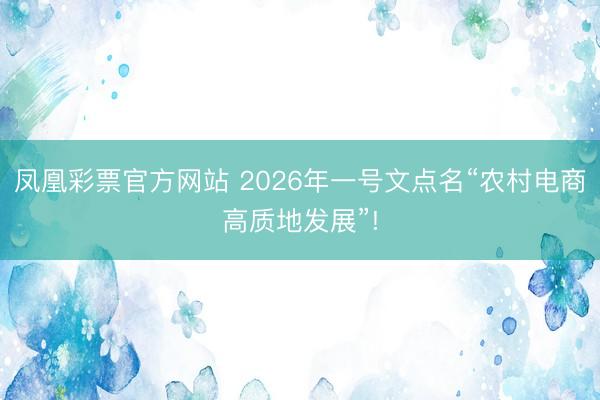 凤凰彩票官方网站 2026年一号文点名“农村电商高质地发展”!