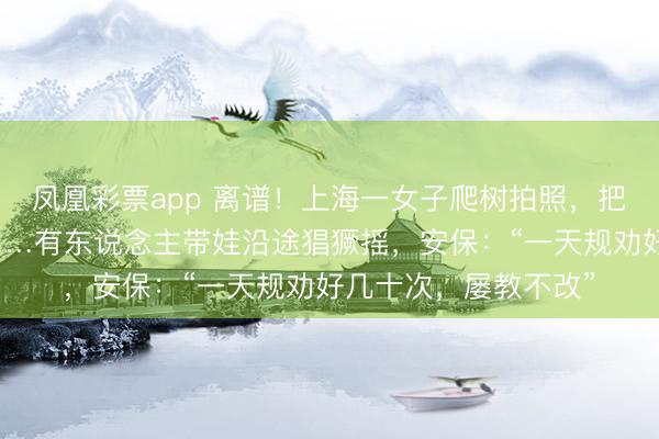 凤凰彩票app 离谱！上海一女子爬树拍照，把整棵樱花树压倒了……有东说念主带娃沿途猖獗摇，安保：“一天规劝好几十次，屡教不改”