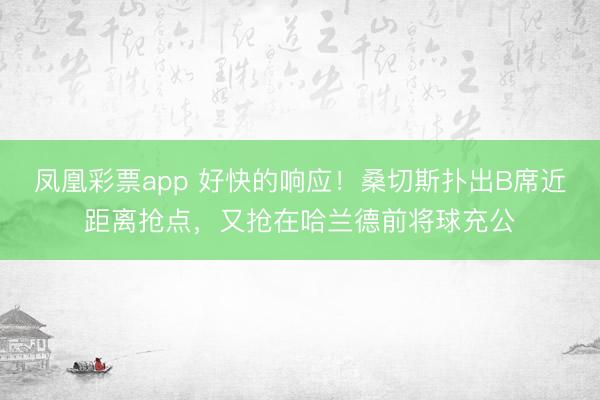 凤凰彩票app 好快的响应!桑切斯扑出B席近距离抢点,又抢在哈兰德前将球充公