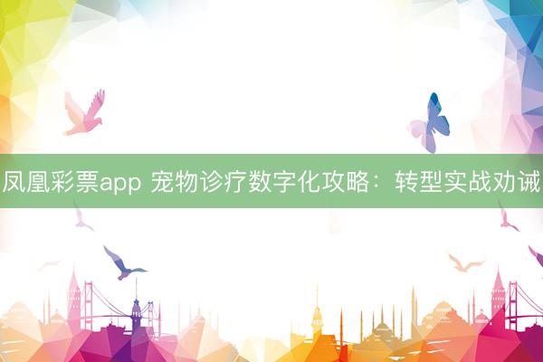 凤凰彩票app 宠物诊疗数字化攻略:转型实战劝诫