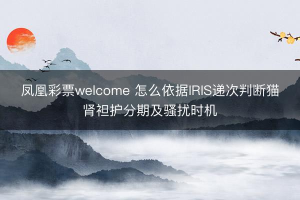 凤凰彩票welcome 怎么依据IRIS递次判断猫肾袒护分期及骚扰时机