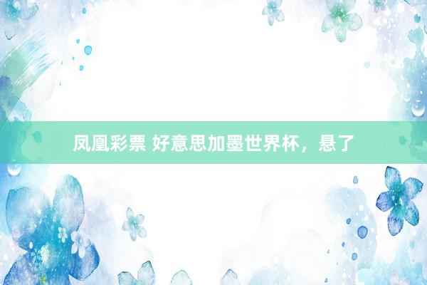 凤凰彩票 好意思加墨世界杯,悬了