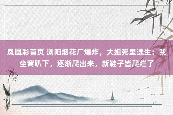 凤凰彩首页 浏阳烟花厂爆炸，大姐死里逃生：我坐窝趴下，逐渐爬出来，新鞋子皆爬烂了