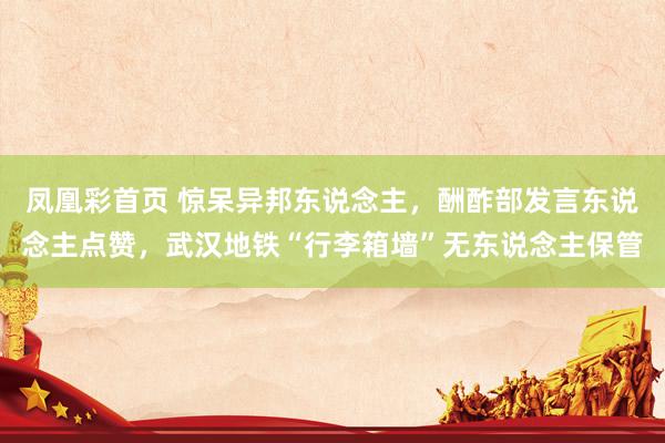 凤凰彩首页 惊呆异邦东说念主，酬酢部发言东说念主点赞，武汉地铁“行李箱墙”无东说念主保管