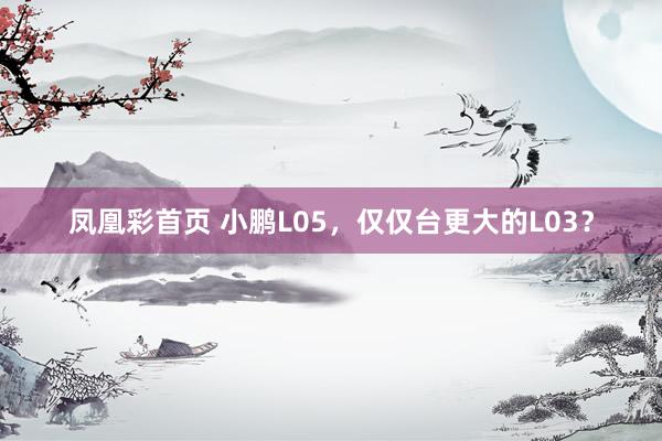 凤凰彩首页 小鹏L05，仅仅台更大的L03？