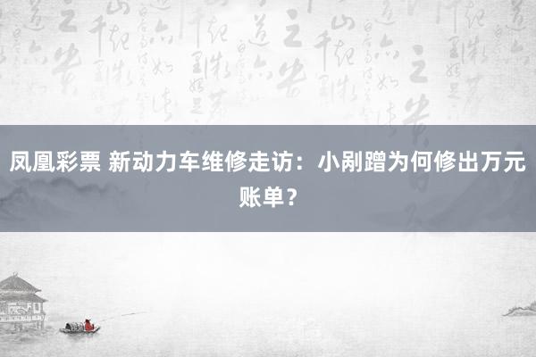 凤凰彩票 新动力车维修走访：小剐蹭为何修出万元账单？
