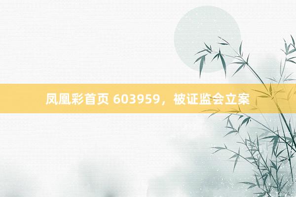 凤凰彩首页 603959，被证监会立案
