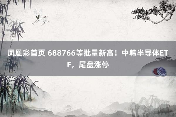 凤凰彩首页 688766等批量新高！中韩半导体ETF，尾盘涨停