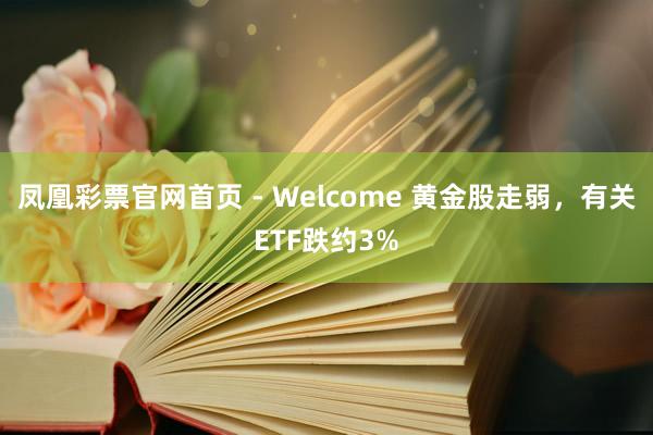 凤凰彩票官网首页 - Welcome 黄金股走弱，有关ETF跌约3%