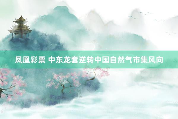凤凰彩票 中东龙套逆转中国自然气市集风向
