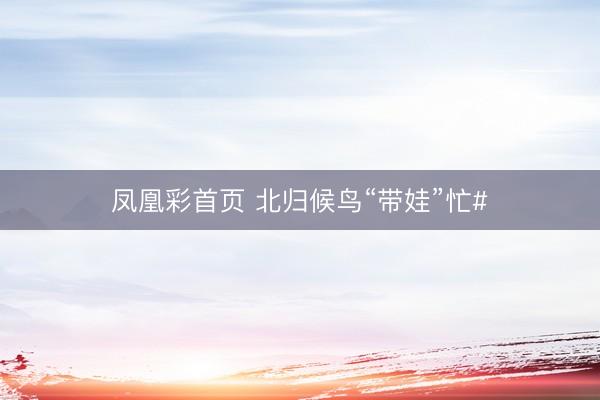 凤凰彩首页 北归候鸟“带娃”忙#