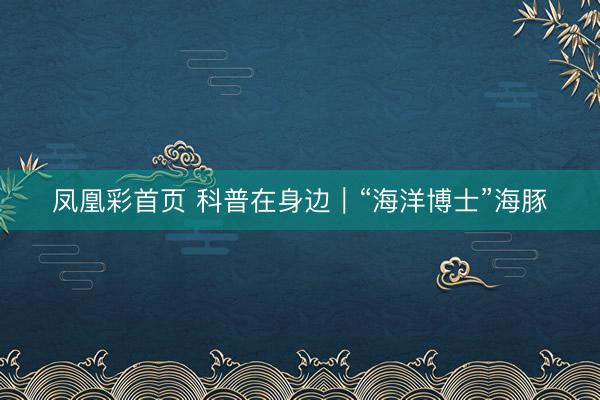 凤凰彩首页 科普在身边｜“海洋博士”海豚