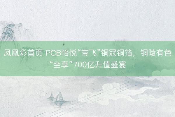 凤凰彩首页 PCB怡悦“带飞”铜冠铜箔，铜陵有色“坐享”700亿升值盛宴