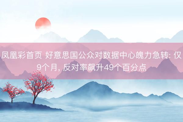 凤凰彩首页 好意思国公众对数据中心魄力急转: 仅9个月， 反对率飙升49个百分点