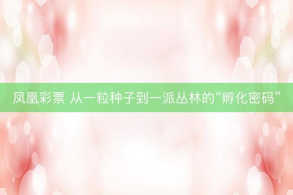 凤凰彩票 从一粒种子到一派丛林的“孵化密码”